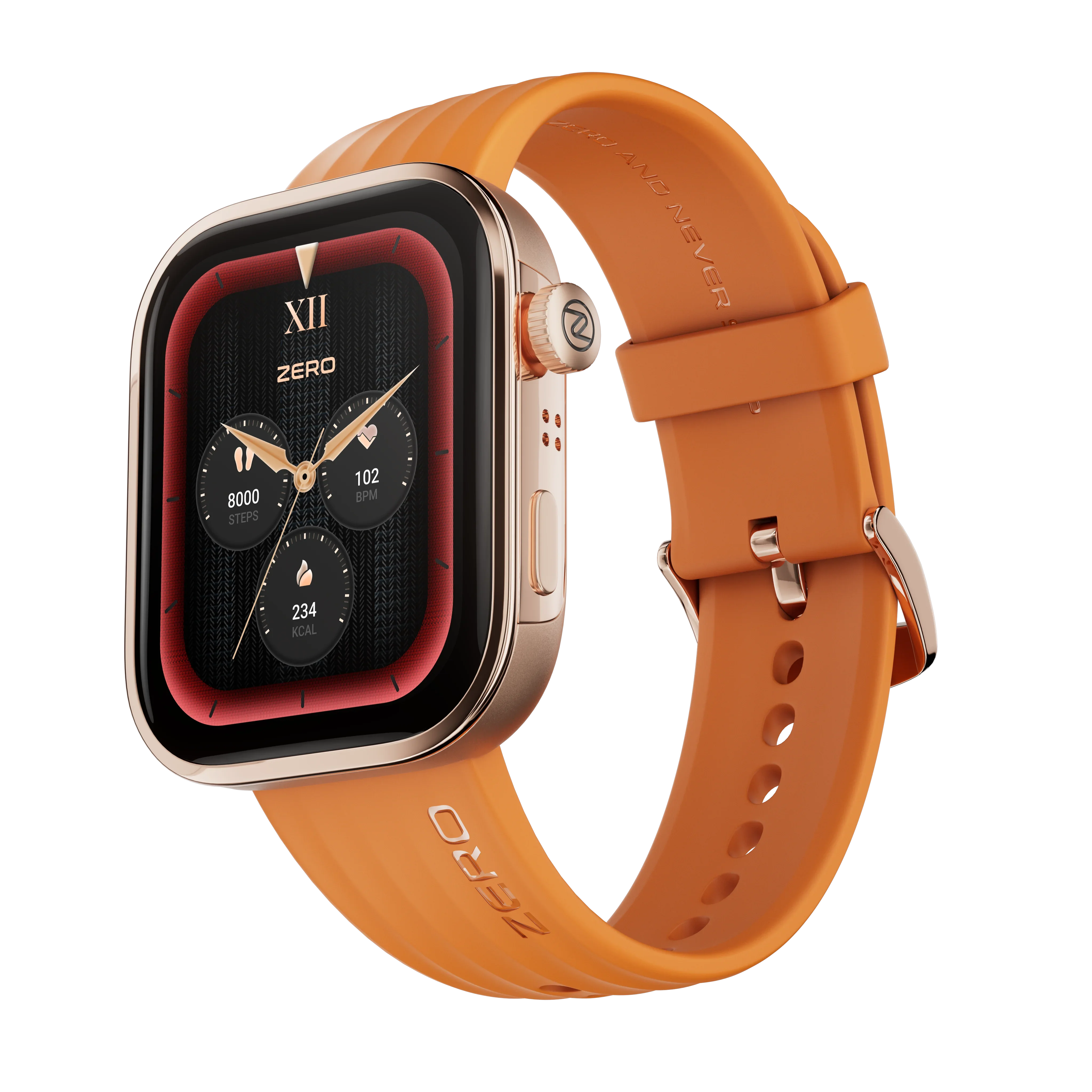 Visionary Smartwatch