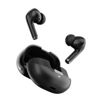 Evo Earbuds