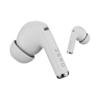 Evo Earbuds